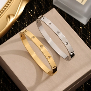 Titanium steel buckle bracelets in gold and silver with star-shaped zircon inlays