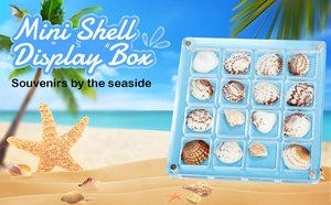 Mini shell display box with 16 grids made of clear acrylic for specimen collection