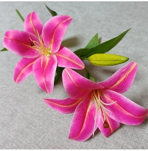 Close-up detail of realistic 3D film pink lily with blooming petals and green bud