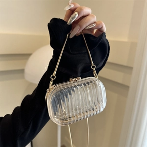 Transparent Acrylic Crossbody Box Bag Women Evening Clutch Mini Jelly Handbag With Golden Bee Buckle And Chain Strap