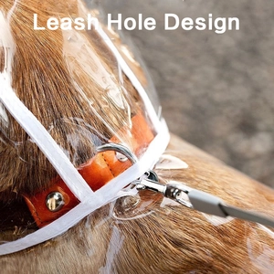Transparent waterproof pet raincoat featuring a functional leash hole design for large dogs