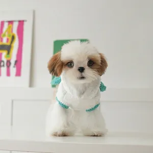 White plush pet vest with light blue fuzzy trim for warm autumn and winter wear