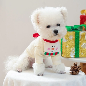 Close-up of dog bib with snowman embroidery and festive striped holiday decoration
