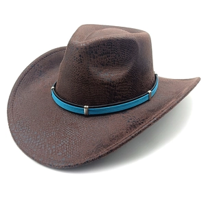 Western Cowboy Hat Suede Snake Pattern Retro Jazz Wide Brim Metal Buckle Band Unisex Outdoor Autumn Winter Sunshade