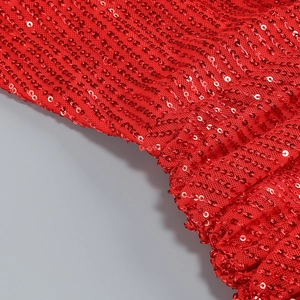 Macro view of red round sequins embroidered on matching mesh fabric detail