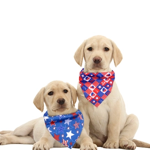 Golden Retriever puppies wearing 4th of July Independence Day star and stripe pet bandanas