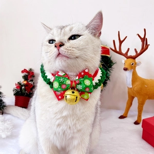 Close-up of red and green knitted Christmas pet collar with a golden bell on a cat