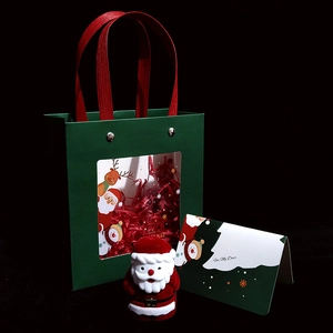Green Christmas gift bag with Santa Claus jewelry box and matching greeting card set