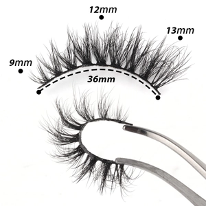 Detailed size map of black eyelashes showing lengths from 9mm to 13mm and 36mm band