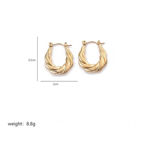 Detailed view of golden twisted hoop earrings with 2.5cm height and 2cm width dimension marks