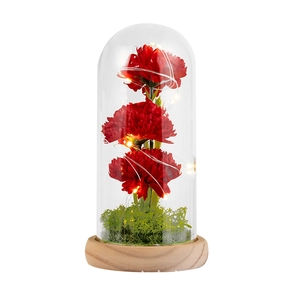 Preserved red carnations in glass dome with LED fairy lights on a wooden base