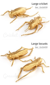Spécifications détaillées des tailles pour modèles d'insectes grillons et criquets dorés