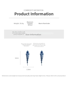 Size chart showing long diamond fringe earrings with 12cm length and 20.4g weight details