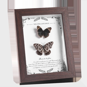 Vintage 3D wooden butterfly specimen frame with clear glass and artistic typography