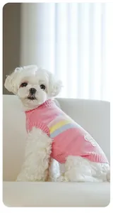 Detail of pink knitted dog sweater with rainbow stripes and cute bear applique