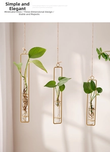 Three hanging gold metal rectangular frames with glass tube vases for hydroponic plants
