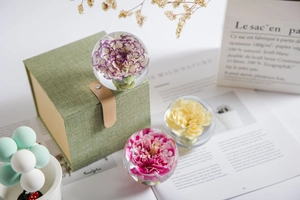 Macro detail of crystal glass balls with preserved carnation flowers and premium gift box