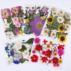 Assorted dried pressed flowers for DIY resin crafts including daisies and cosmos