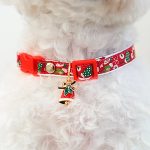 Close-up of a festive red Christmas dog collar with bells on a white curly-haired dog