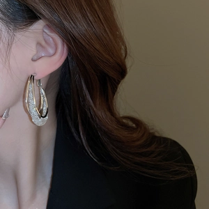Silver double-hoop earrings with glitter inlay shown on a model for style and scale