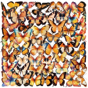 Détails d'autocollants papillon vintage colorés avec des motifs pour le scrapbooking