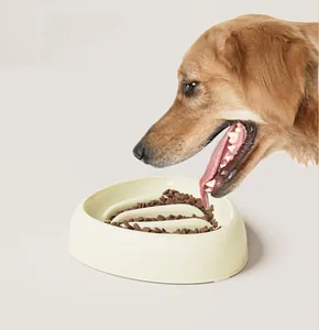 Detail of shell-shaped pet slow feeder bowl with kibble for small dogs and cats