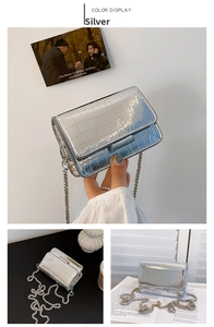 Silver crocodile texture small square bag detail with metallic chain strap and flap closure