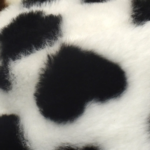 Close-up of black and white cow print plush faux fur fabric for women winter bucket hat