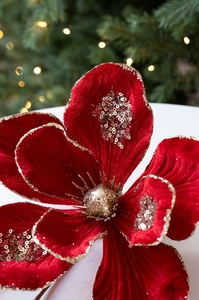 Close-up of red velvet Christmas flower with gold glitter edges and sparkling pistil