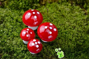 Set di quattro funghi rossi a macchie bianche per decorazioni di micro paesaggi e giardini