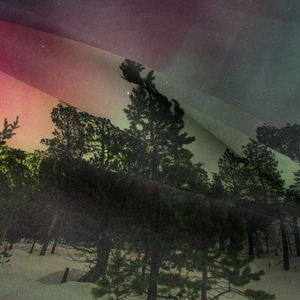 Dettaglio macro dell'arazzo foresta aurora con trama fine del tessuto e stampa vivida