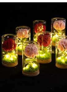 Detail of handmade crochet carnations with warm LED lights in a glass dome display