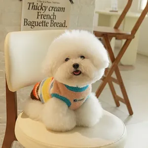 Rainbow striped pet knit sweater for small dogs and cats in a cozy home setting