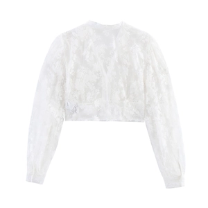 Elegant white mesh floral lace long sleeve V-neck cropped shirt top for women