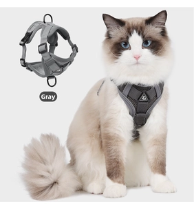 Close-up of gray breathable mesh cat harness with secure adjustable buckle and metal D-ring