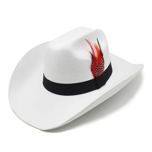 Close-up of white wide-brim felt cowboy hat with black band and colorful feather detail