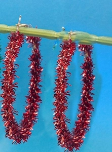 Close-up of large red tinsel hoop earrings hanging on a green stem with blue background
