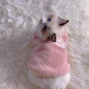 Bonito chaleco de lana polar rosa para mascotas, ropa cálida de otoño invierno con bordado lindo.