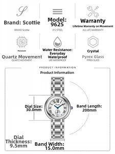 Spécifications techniques de la montre en acier argenté avec cadran à chiffres romains