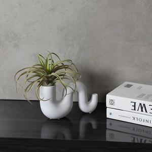 Vase en céramique blanc mat minimaliste en forme de S avec plante aérienne sur table noire