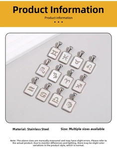 Macro shot of twelve rectangular stainless steel zodiac pendants with silver borders
