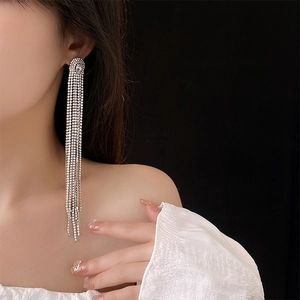 Detailed view of silver tassel earrings with zircon fringe hanging on model's ear