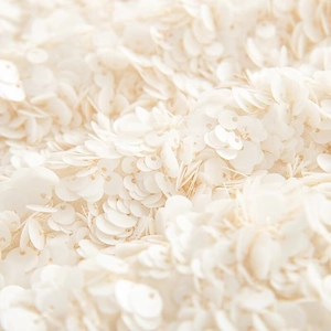 Detailed macro view of white shimmering sequins on high-quality polyester mesh fabric