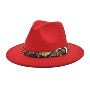 Detail of red wool fedora with colorful snake print belt and gold metal buckle