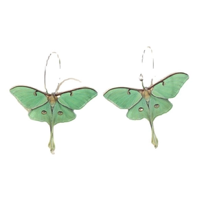 Green acrylic Luna Moth drop earrings with mint wings and reddish-brown edges