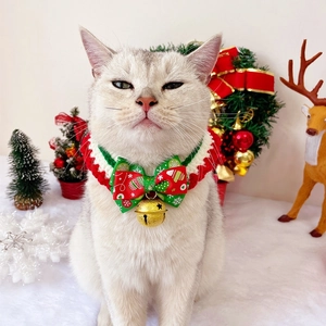Close-up of hand-knitted Christmas pet collar with bells on a silver tabby cat