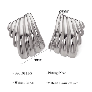 Macro-detail van zilveren roestvrijstalen veer oorbellen met 19mm en 24mm afmetingen