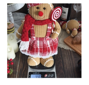 Gingerbread plush doll with chef hat and lollipop on scale showing 448g weight detail