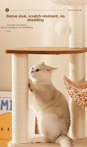 Detailansicht der Sisal-Kratzsäule mit Katze und interaktivem Spielzeug-Ball