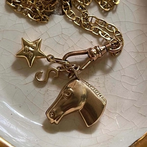 Golden stainless steel anchor chain necklace with horse head and star S pendants